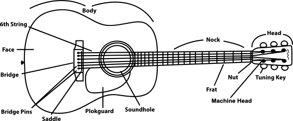 Acoustic Guitar labeled