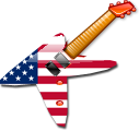 USA Guitar Icon