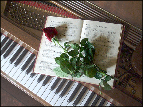 piano w rose