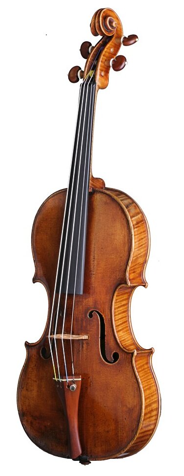 violin photo