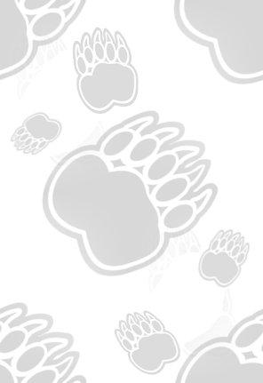 bear paws tile background