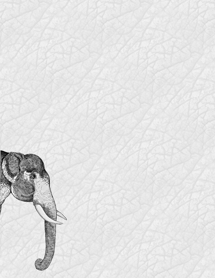 elephant and texture background