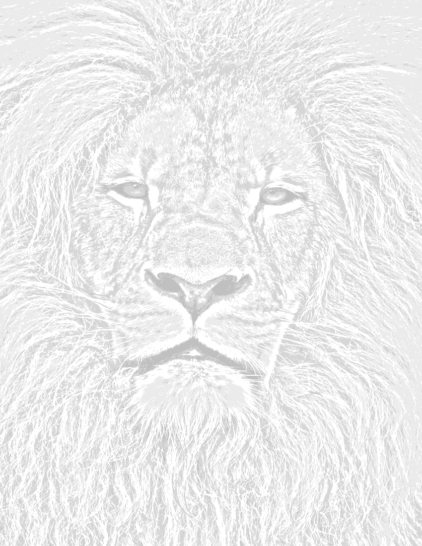 lion male face background