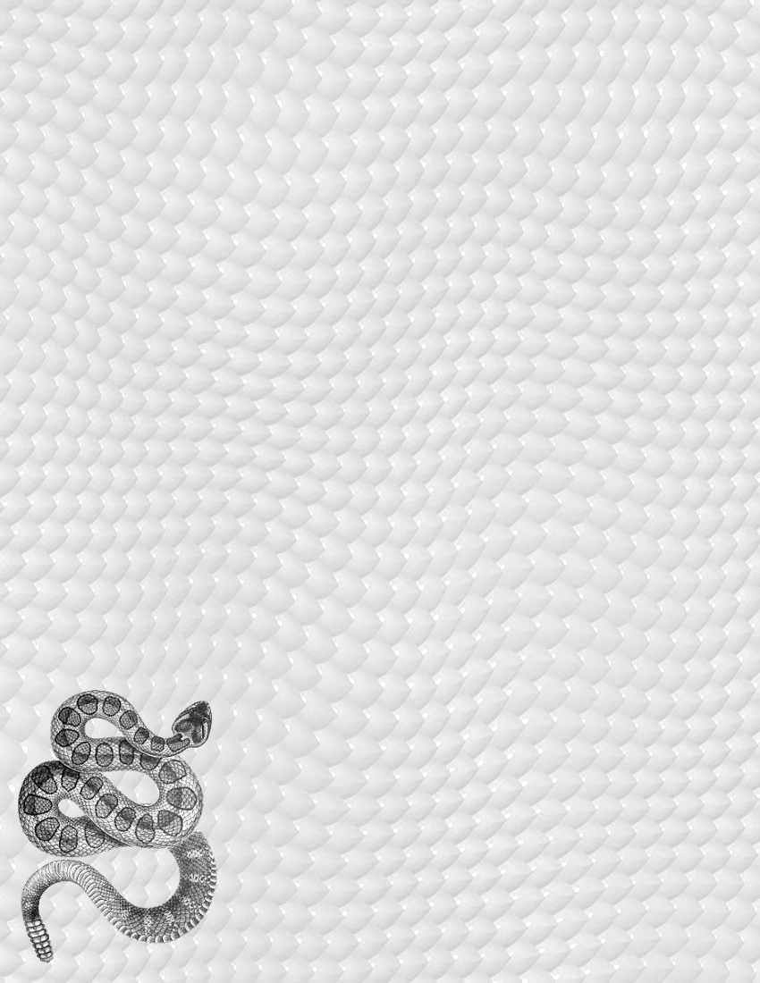 snake and skin background