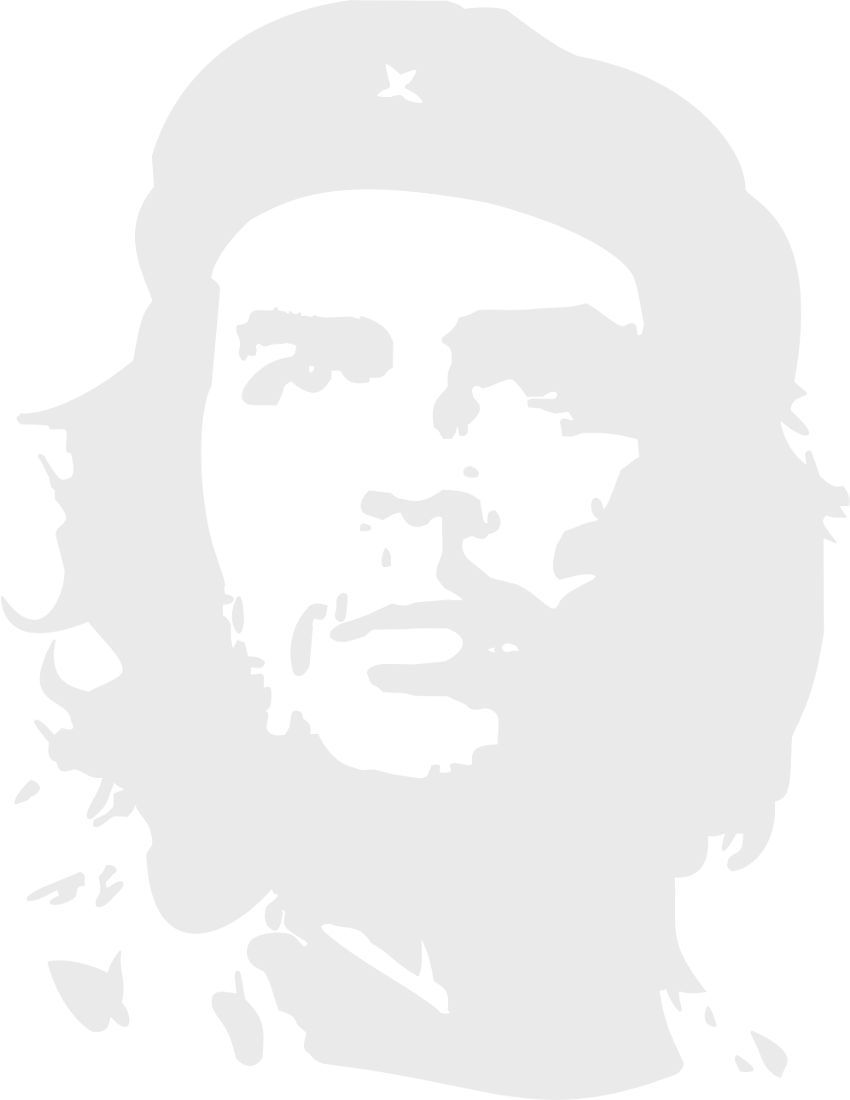 Che Guevara full background page