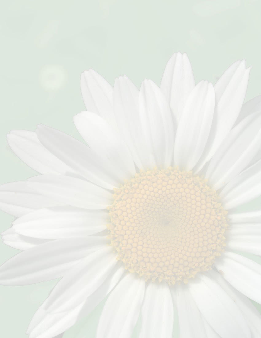 daisy background page