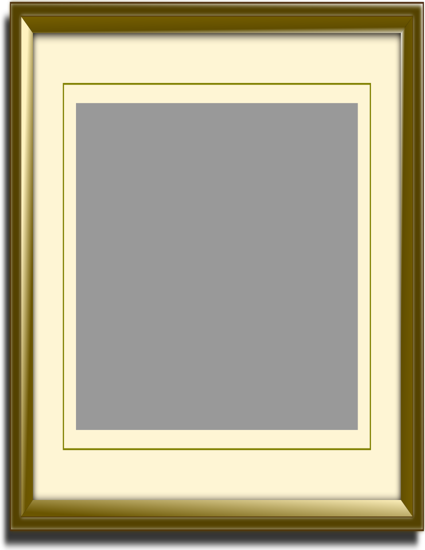 gold frame w matte