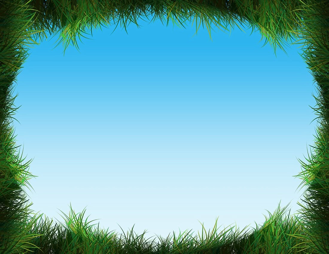 grass sky frame