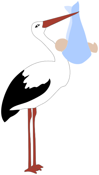 Stork Delivering Baby Boy