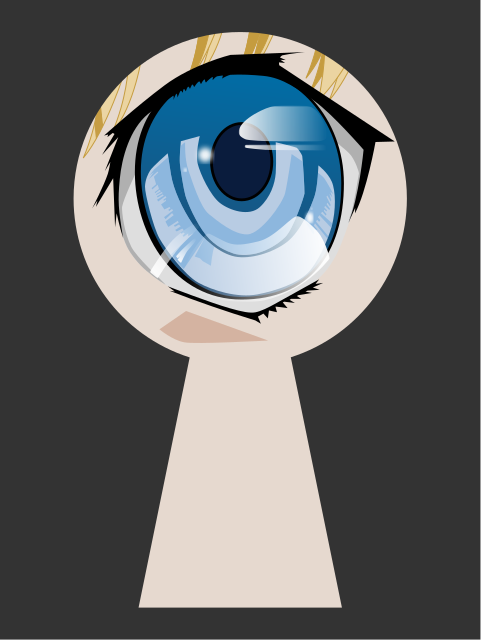 eye keyhole spy