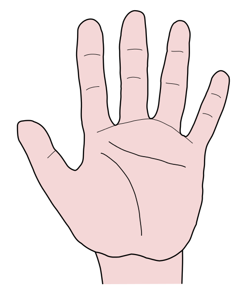 hand palm forward