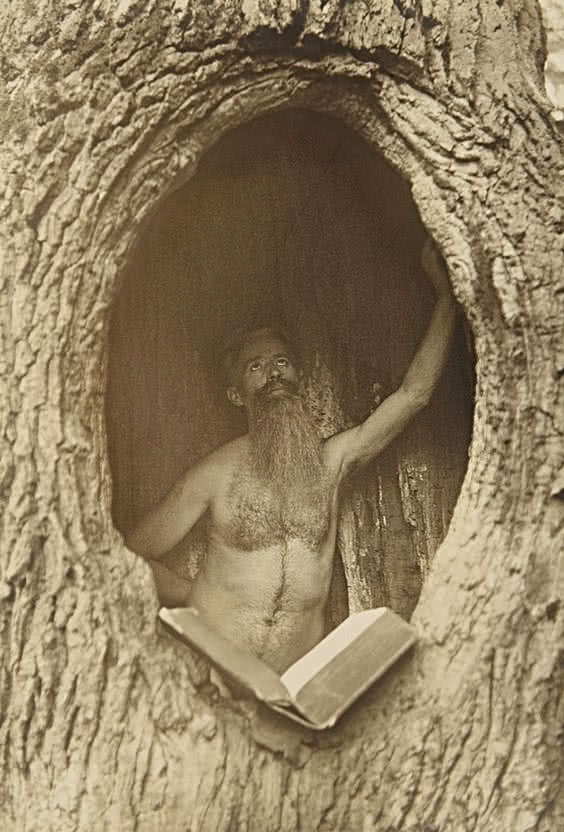 man in a tree 1900