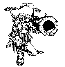 cowboy looking down barrel