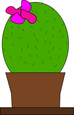 cactus 2