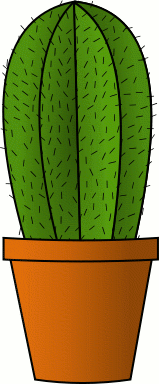 cactus houseplant