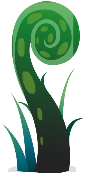plant giant fern 2