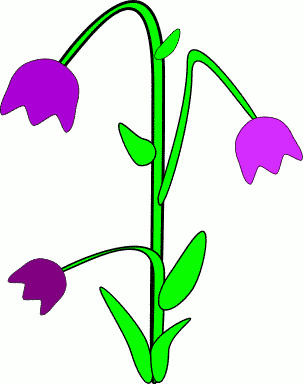 bell flower
