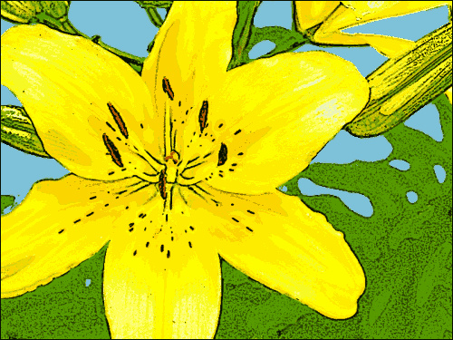 lily yellow clip art