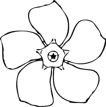 periwinkle flower top view BW