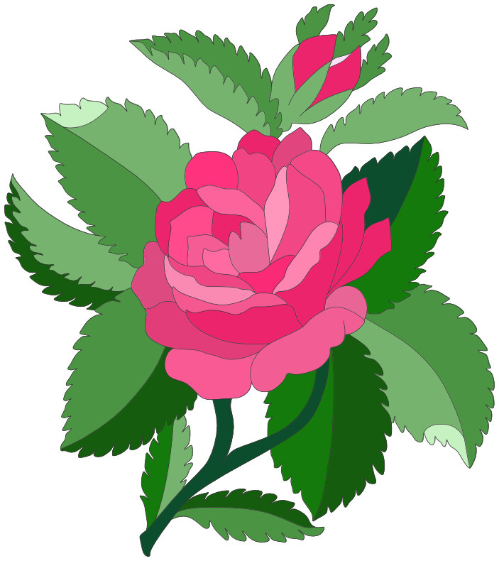 Rose and leaves