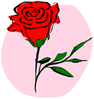 red_rose/