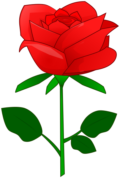 rose red w stem