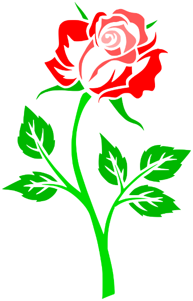 Rose clipart 2