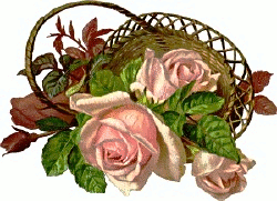 roses basket