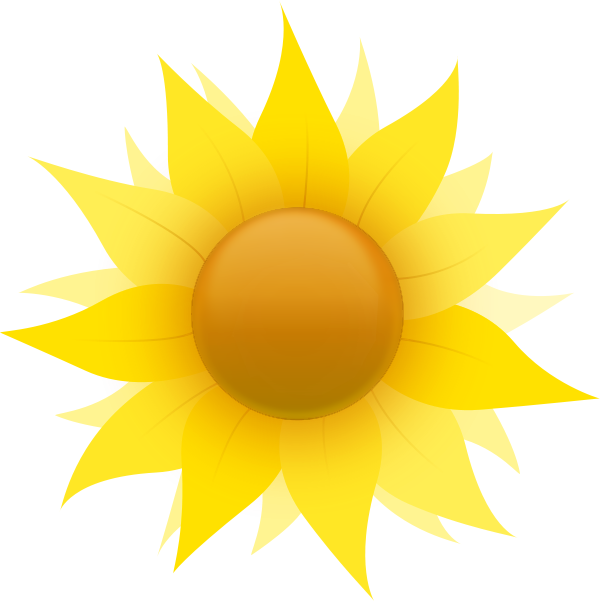 sunflower sun graphic