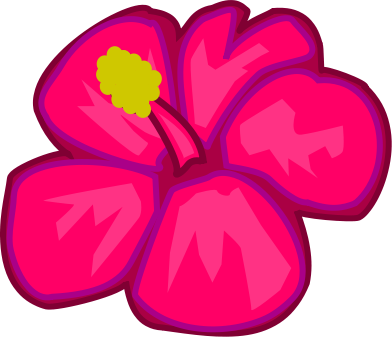bold pink flower