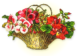 basket pretty flowers