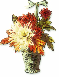 chrysanthemum basket