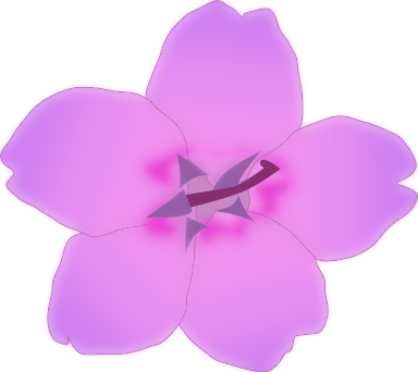 soft purple blossom