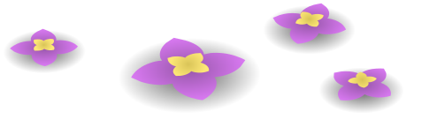 wildflowers purple 1
