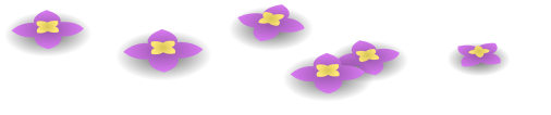 wildflowers purple 2