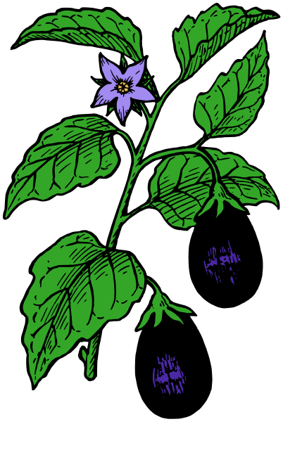 Eggplant color