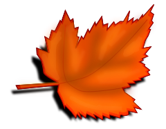leaf fall orange