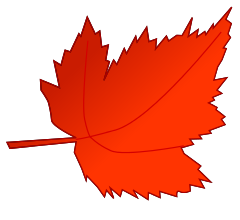 leaf fall red