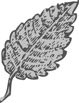leaf graphic