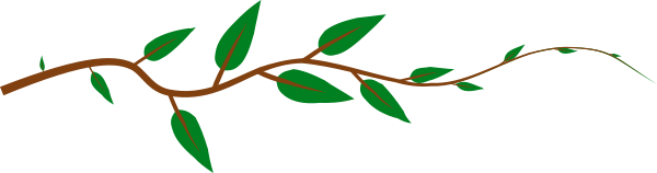 alternate leaf stem
