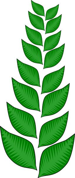 alternating leaves