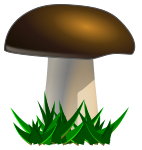 mushroom dark cap