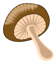 mushroom w stem