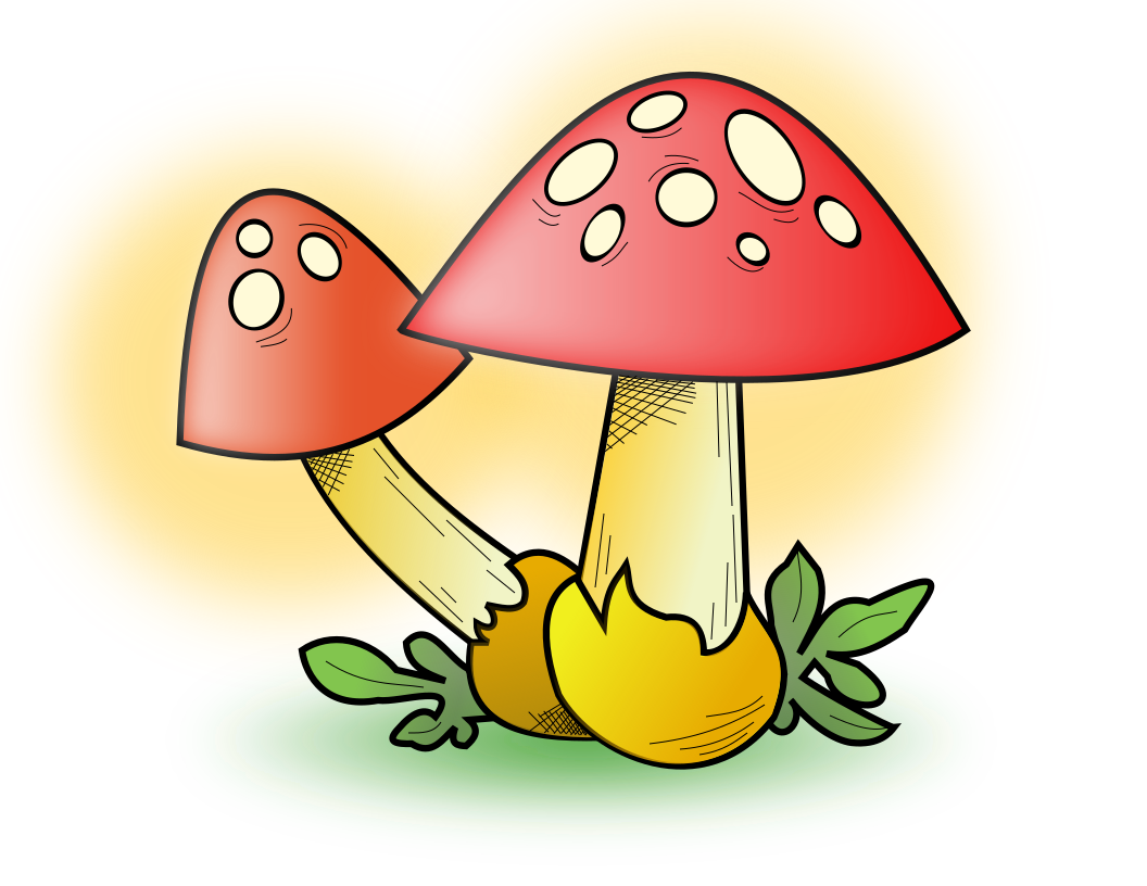 mushroom red cap