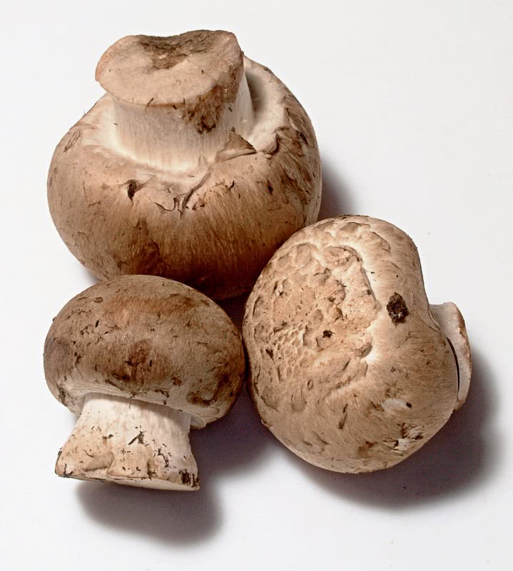 Portabello mushrooms
