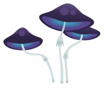 purple mushroom 3