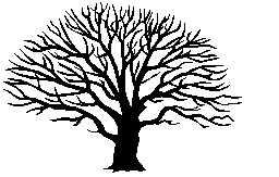 bare tree 2