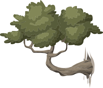 mountain bonsai