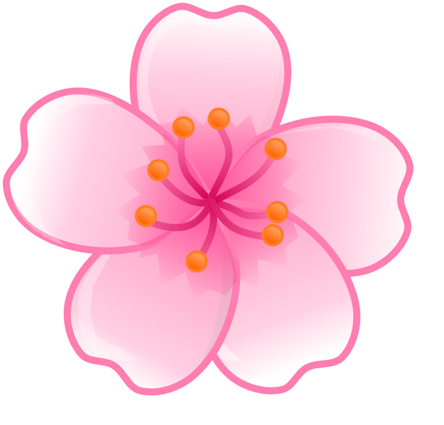 sakura-flower