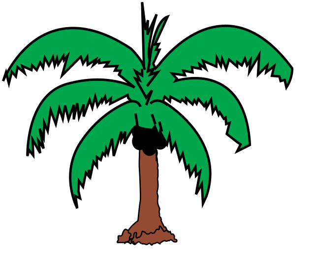 Coconut Palm 2